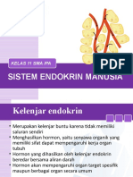 TF07 - BIOLOGI - 11IPA - SMT2 - SSistem Endokrin Manusia