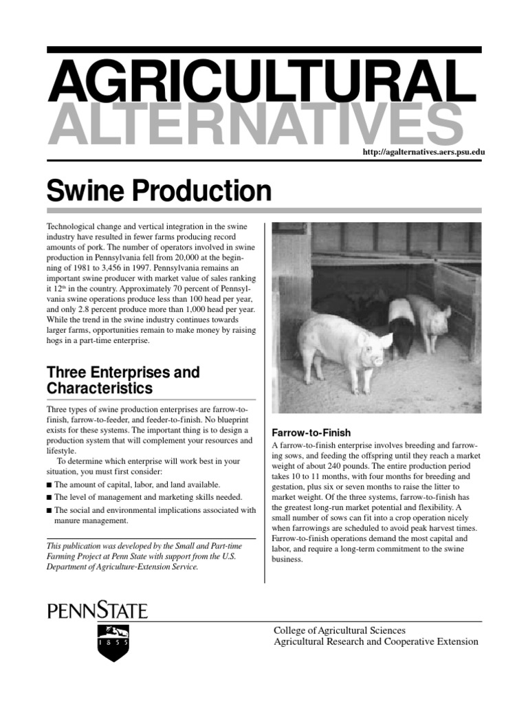 Pig Farming Business Plan  PDF  Domestic Pig  Pig