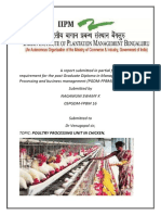 Poultry Processing in Chicken