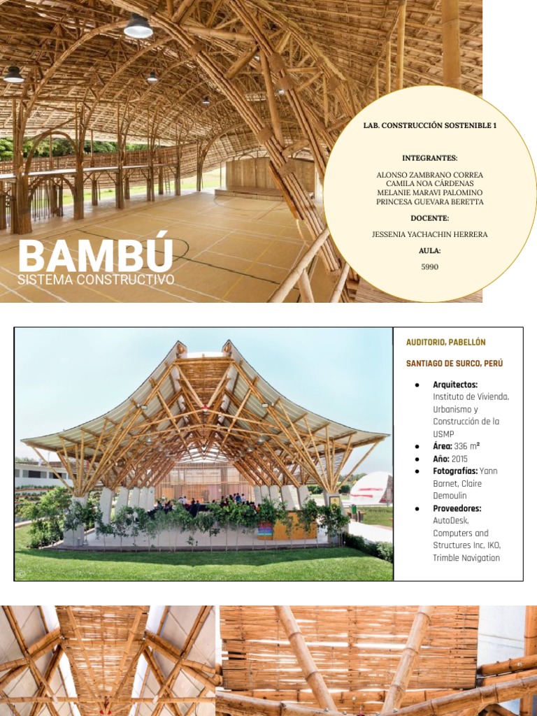 Analisis Del Bambu | PDF