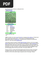 Download Azolla by Fida Susianti SN52402906 doc pdf