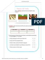 Ficha Interactiva de El Suelo