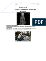 Resumen de Fisiopaologia y Semiologia)