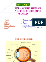 Notes of Human Eye and the Colourful world