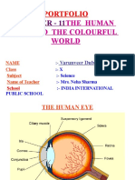 Chapter - 11: The Human Eye and The Colourful World