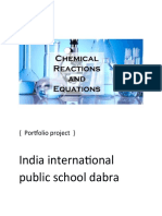 India International Public School Dabra: (Portfolio Project)