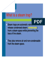 Steam Traps