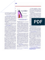 Bases de Periodoncia