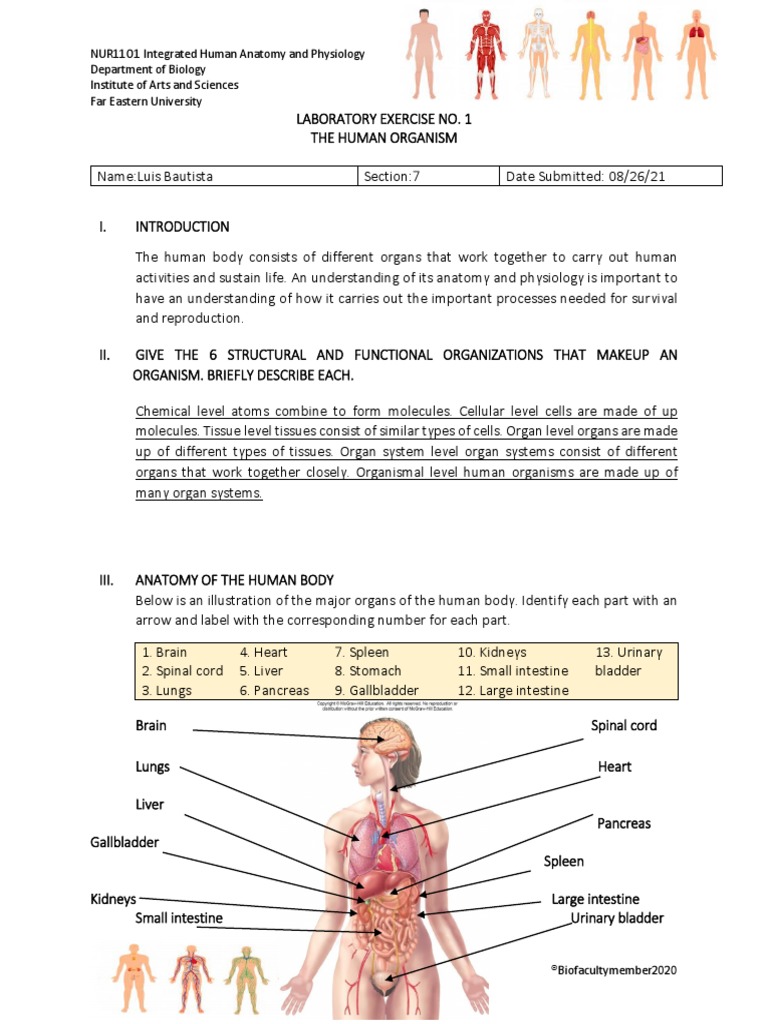 NUR11O1 Integrated Human Anatomy and Physiology Department of Biology ...