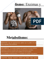El Metabolismo y Enzimas