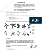 Bacteriile