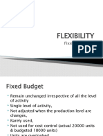 flexibility budgets