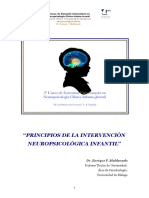 6PRINCIPIOS DE LA INTERVENCIÓN NEUROPSICOLÓGICA INFANTIL VDF210216web