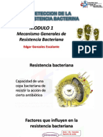 MODULO 1 Antimicrobianos mecanismo resistencia II
