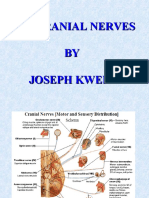 The Cranial Nerves and Their Nuclei