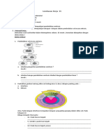 LK 11 Reproduksi Sel