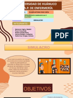 SIMULACRO