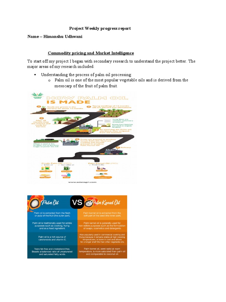 Project Weekly Progress Report Name - Himanshu Udhwani | PDF | Fat ...