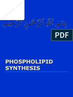Phospholipid Synthesis..