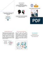 Triptico Rol Del Psicologo Pie