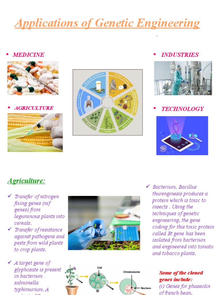 Applications of Genetic Engineering: Medicine Industries | PDF ...