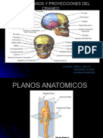 Planos Anatomicos