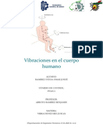 Vibraciones en El Cuerpo Humano