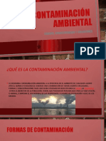 CONTAMINACION_AMBIENTAL