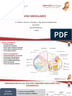 Vías Medulares