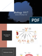 Biology 1017: Anatomy & Physiology II Lab