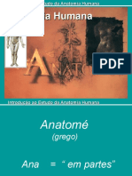 Enf - Introdução À Anatomia