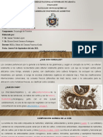 Presentacion Chia.