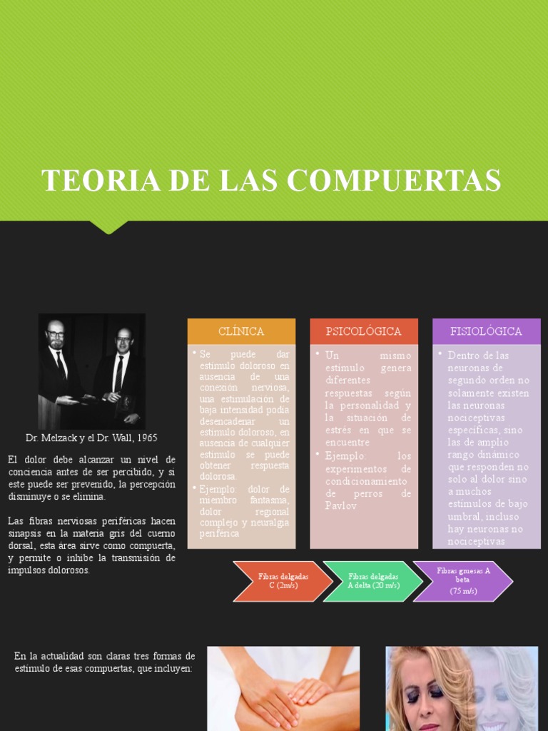 Teoria de Las Compuertas PDF Dolor Medicina CLINICA