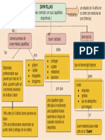 Mapa Conceptual - Las Zapatillas