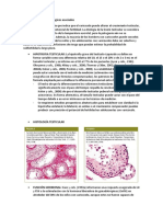 Hallazgos Anatomopatológicos Asociados