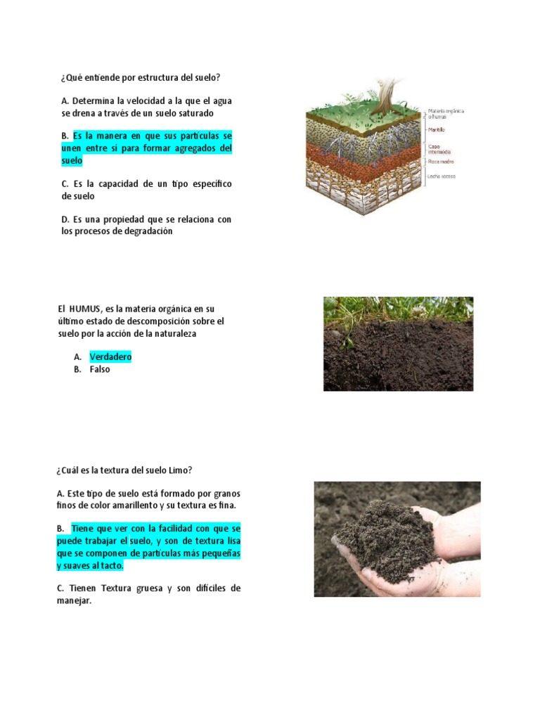 Preguntas Suelos PDF