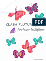 Clasa Fluturasilor Afis Usa