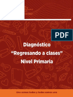 Diagnostico Regresando Primaria