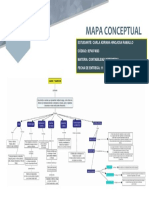 Mapa Conceptua