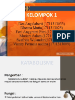 Kelompok 1 - Katabolisme