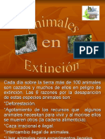 Extincion - Zoologia