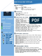 CV Summary for Roby Firnando