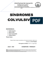 Sindromes Convulsivos-2020