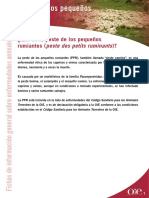 ¿Qué Es La Peste de Los Pequeños Rumiantes (Peste Des Petits Ruminants) ?