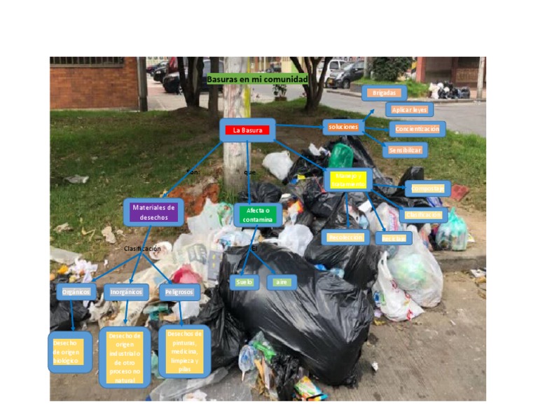 Problemas de basura en la comunidad | PDF
