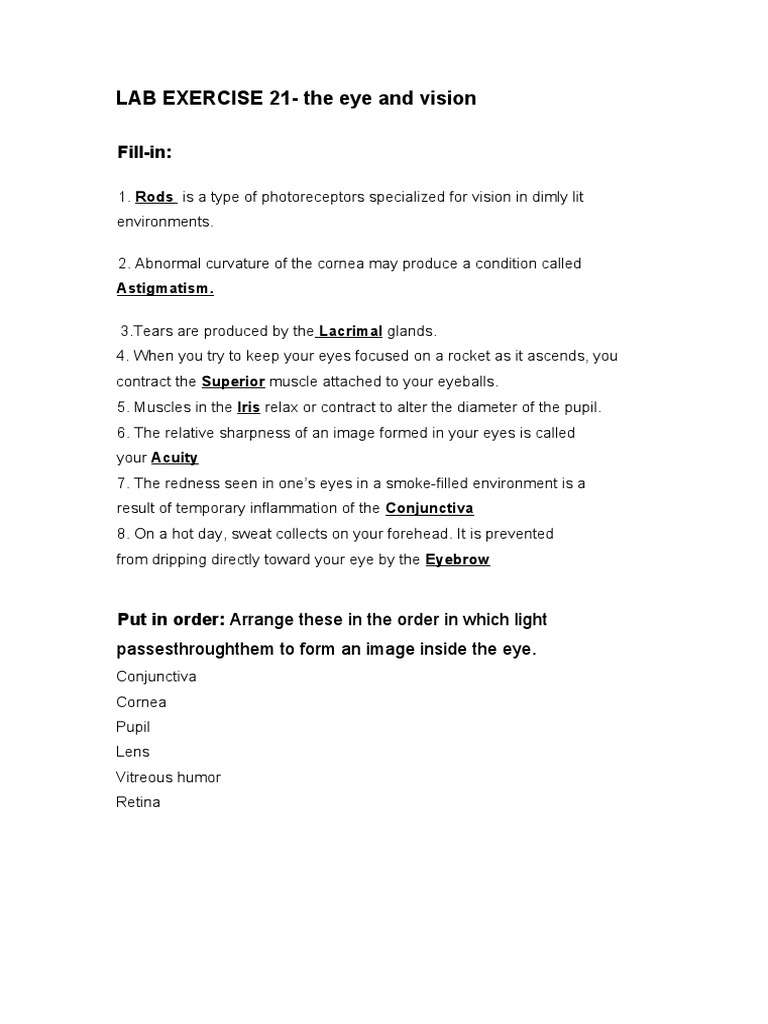LAB EXERCISE 21 The Eye and Vision PDF
