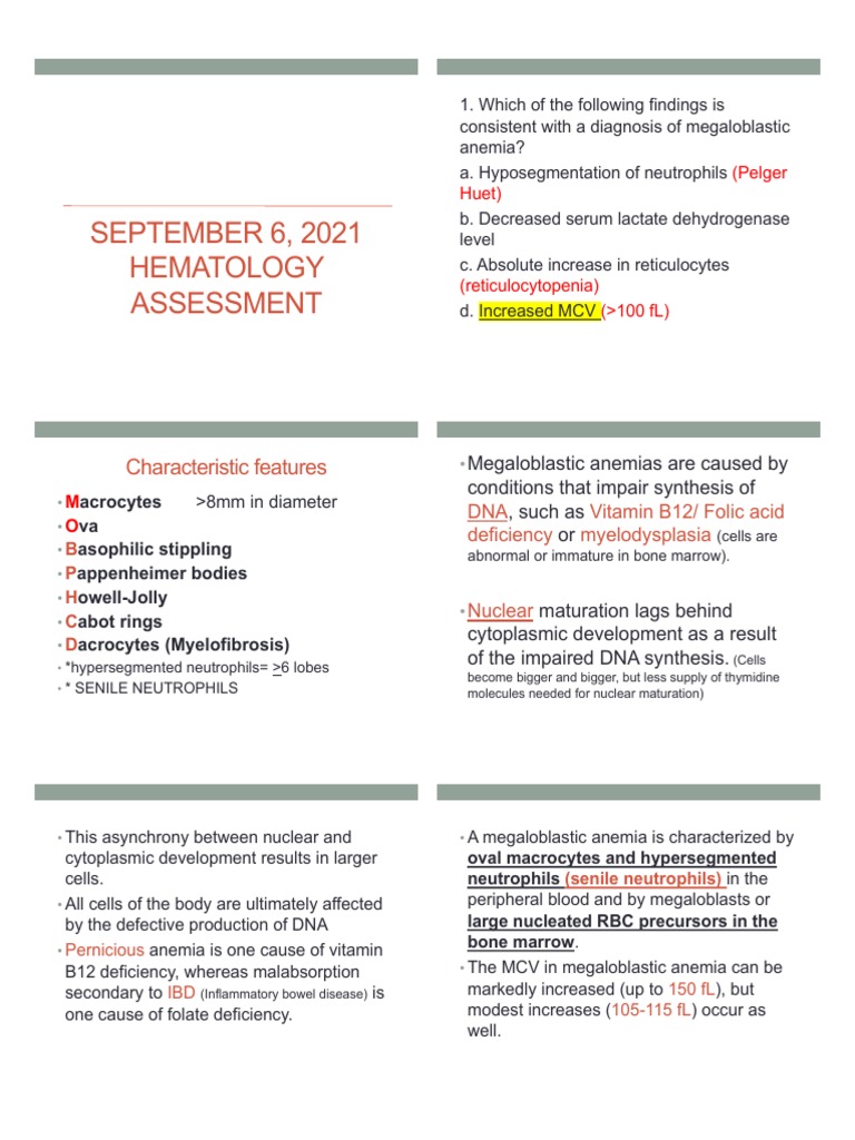 Megaloblastic Anemia Overview and Diagnosis | PDF | Anemia | Vitamin B12