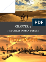 The Great Indian Desert