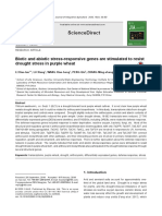 Sciencedirect: Biotic and Abiotic Stress-Responsive Genes Are Stimulated To Resist Drought Stress in Purple Wheat