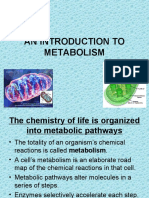 Chap6an Introduction To Metabolism